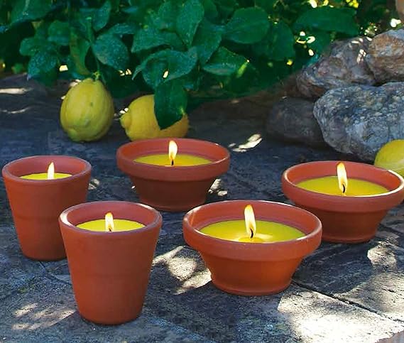 bougies-a-la-citronnelle-pot-teracotta